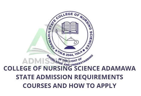 College of Nursing Science Adamawa State Admission Requirements Courses and How to Apply