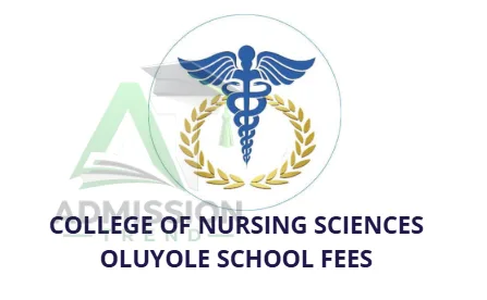 College of Nursing Sciences Oluyole School Fees